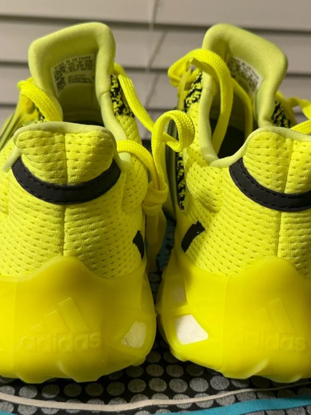 Adidas Ultraboost Web DNA